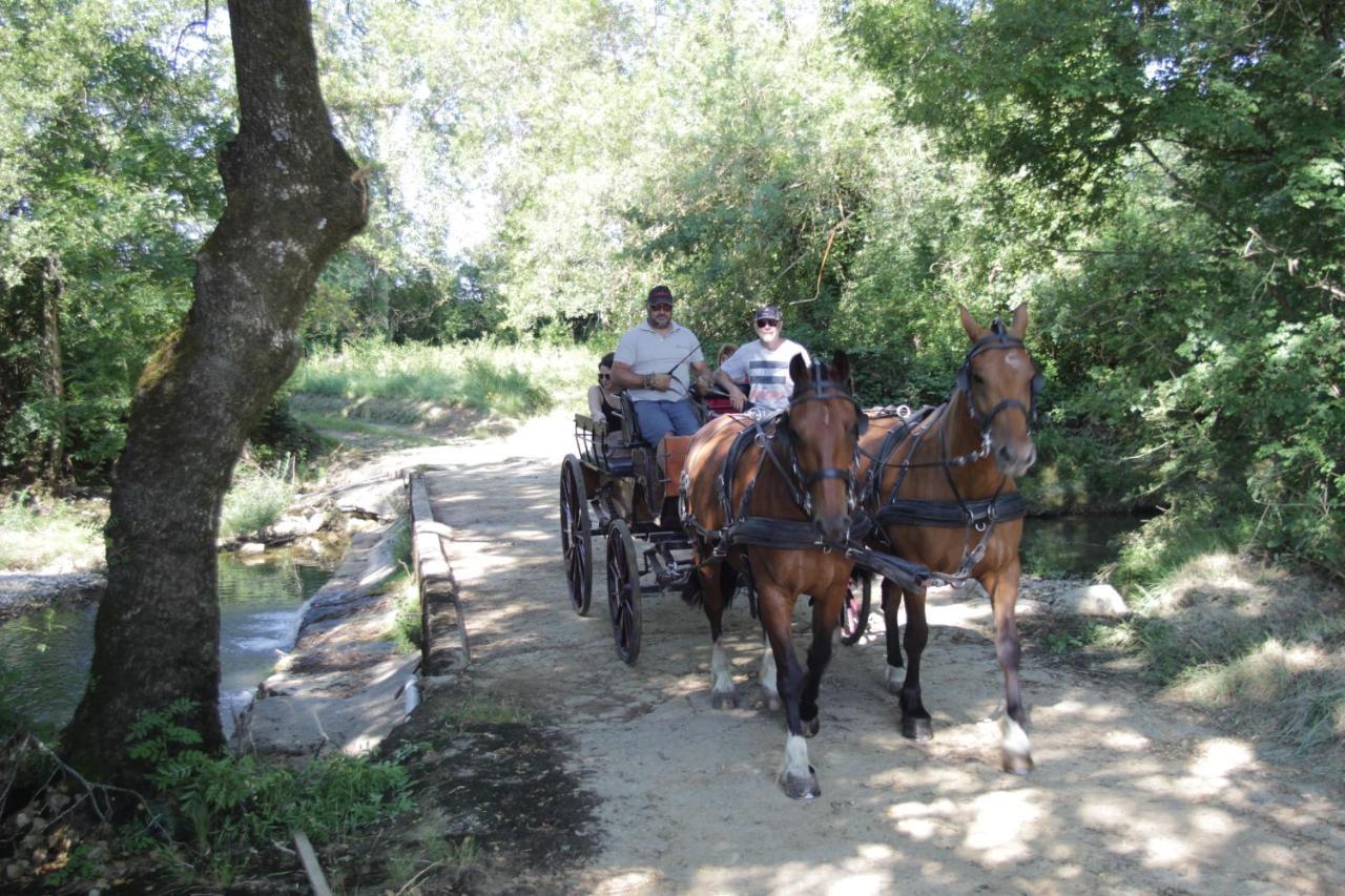 Le Mas De La Coste Saint-Sauveur-de-Cruzière Exterior foto